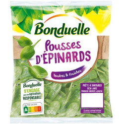EPINARD BONDUELLE F 6X100G